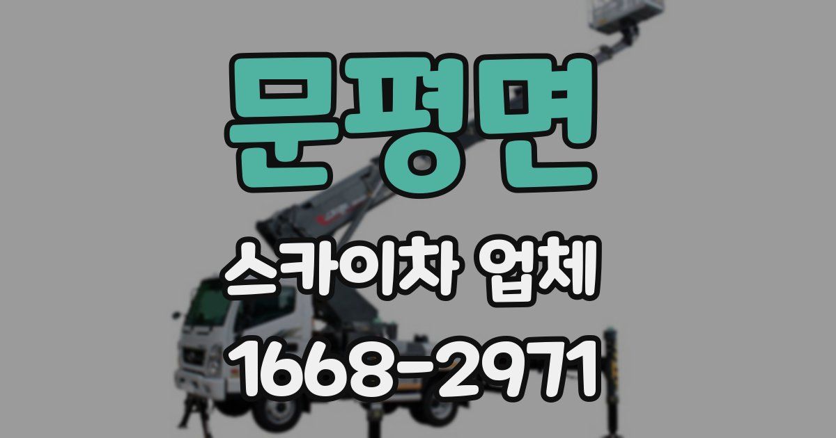 문평면 스카이차 업체