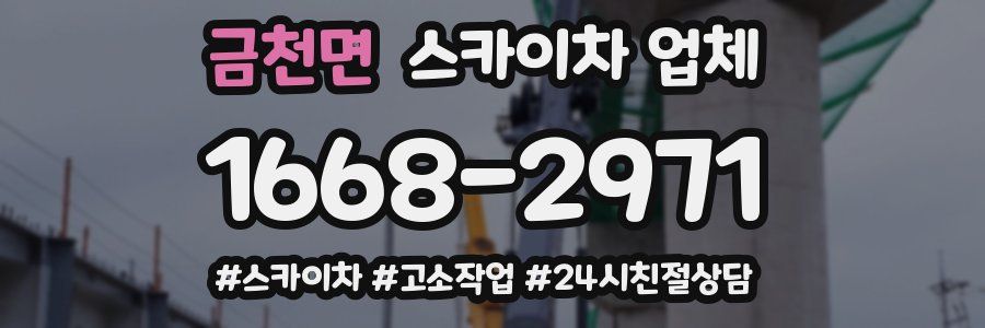 금천면 스카이차 업체