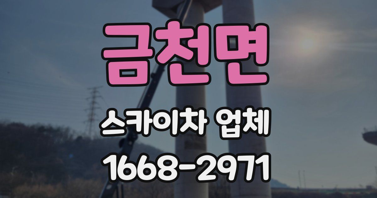 금천면 스카이차 업체