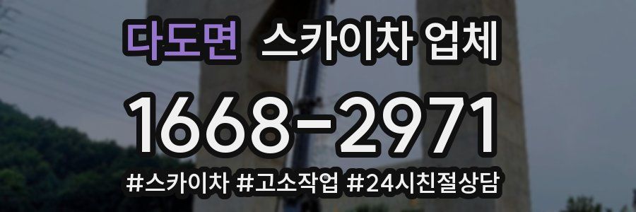 다도면 스카이차 업체