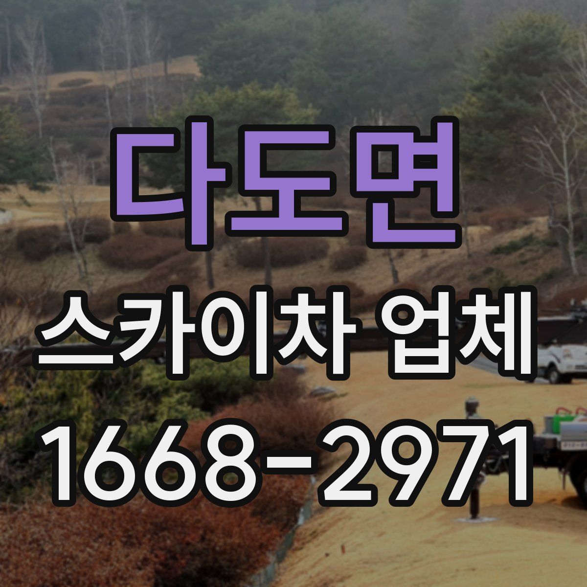 다도면 스카이차 업체