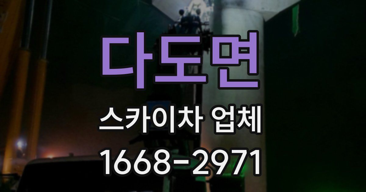 다도면 스카이차 업체