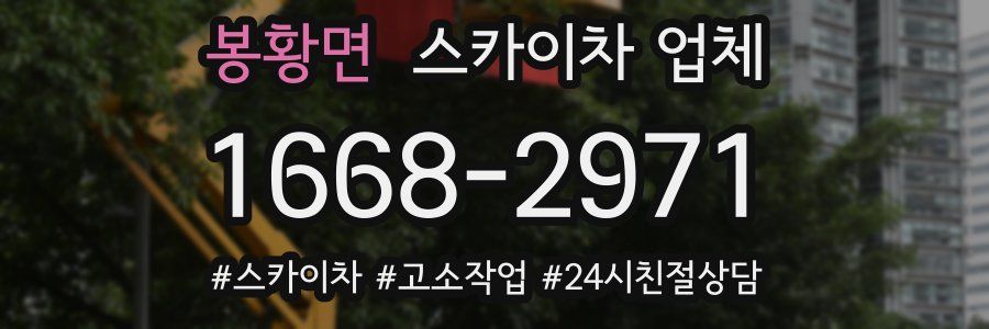 봉황면 스카이차 업체