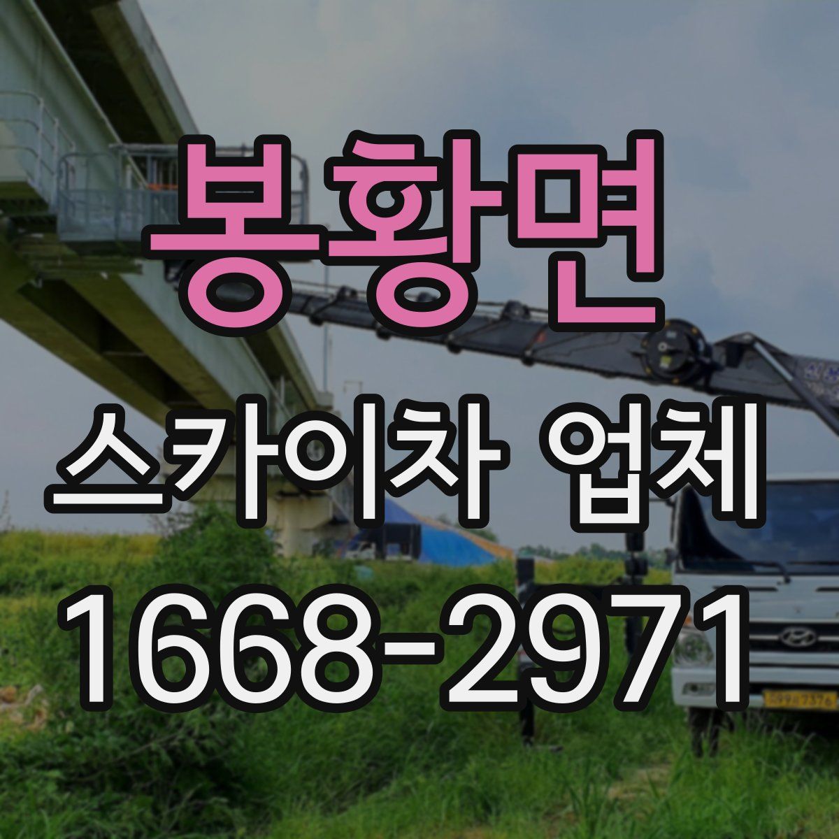 봉황면 스카이차 업체
