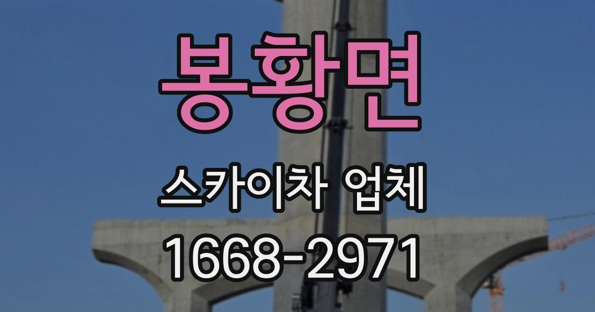 봉황면 스카이차 업체
