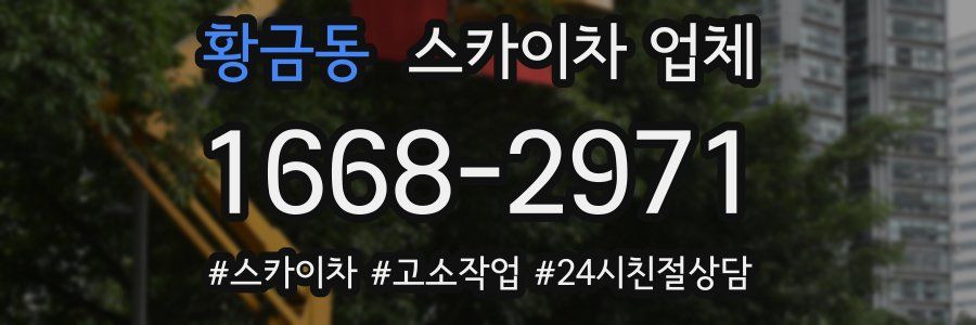 황금동 스카이차 업체