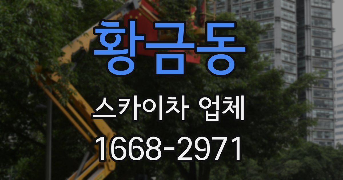황금동 스카이차 업체