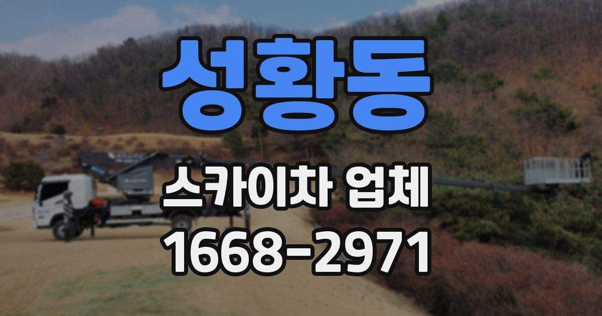 성황동 스카이차 업체