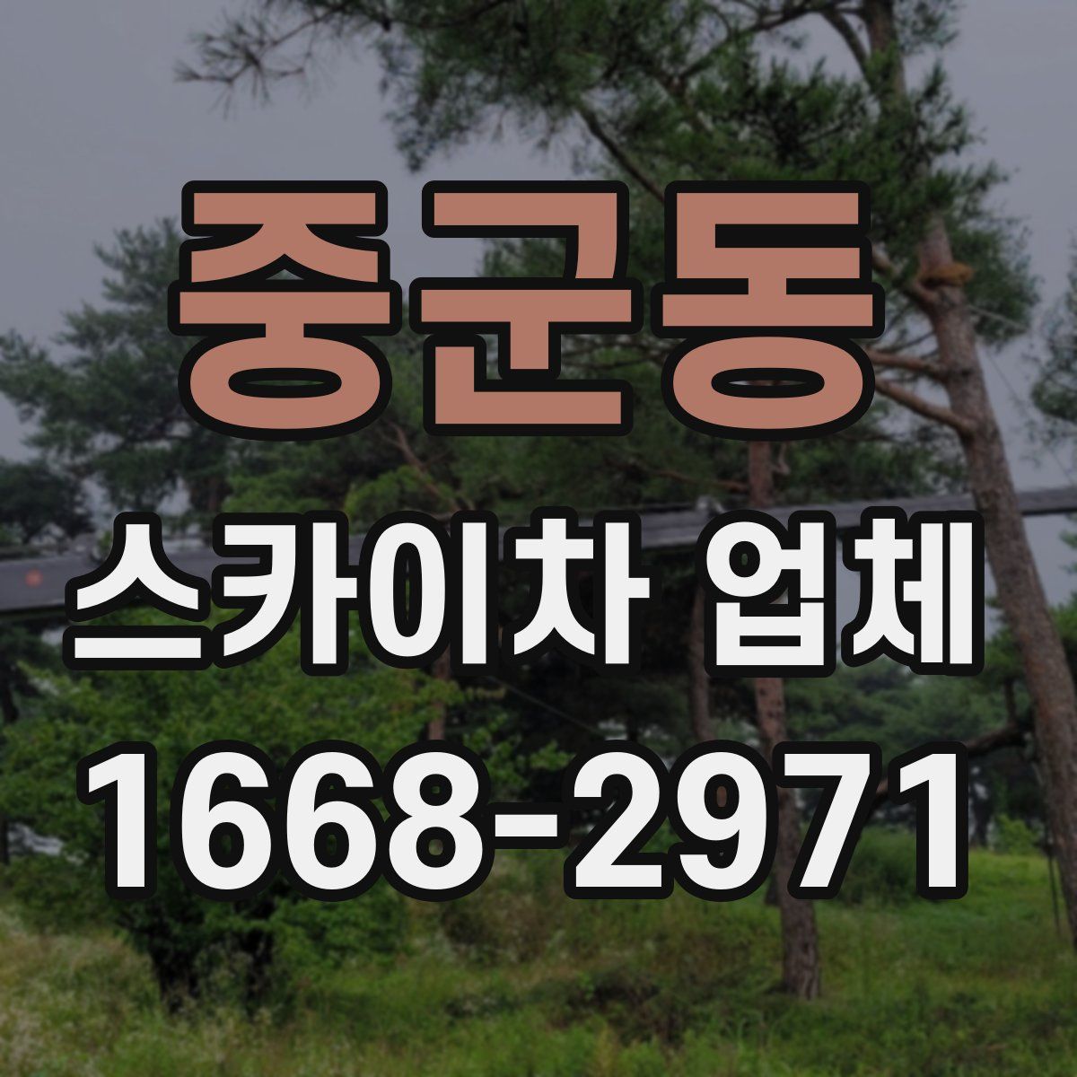 중군동 스카이차 업체