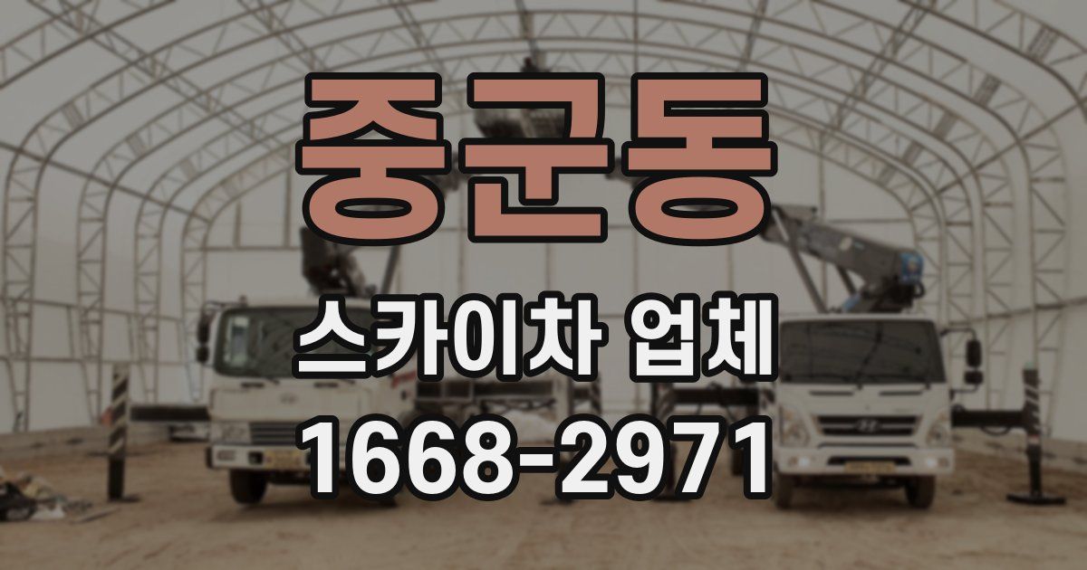 중군동 스카이차 업체