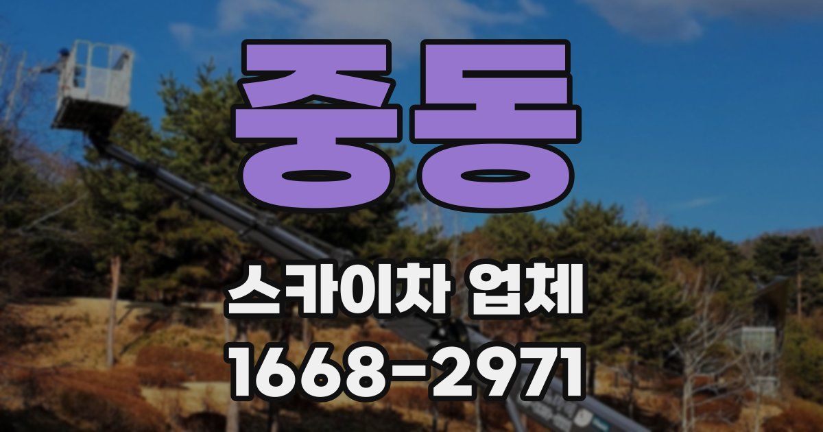 중동 스카이차 업체