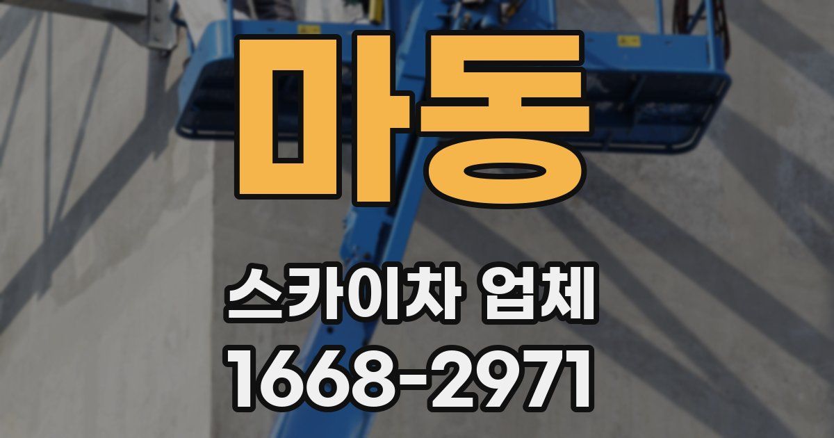 마동 스카이차 업체