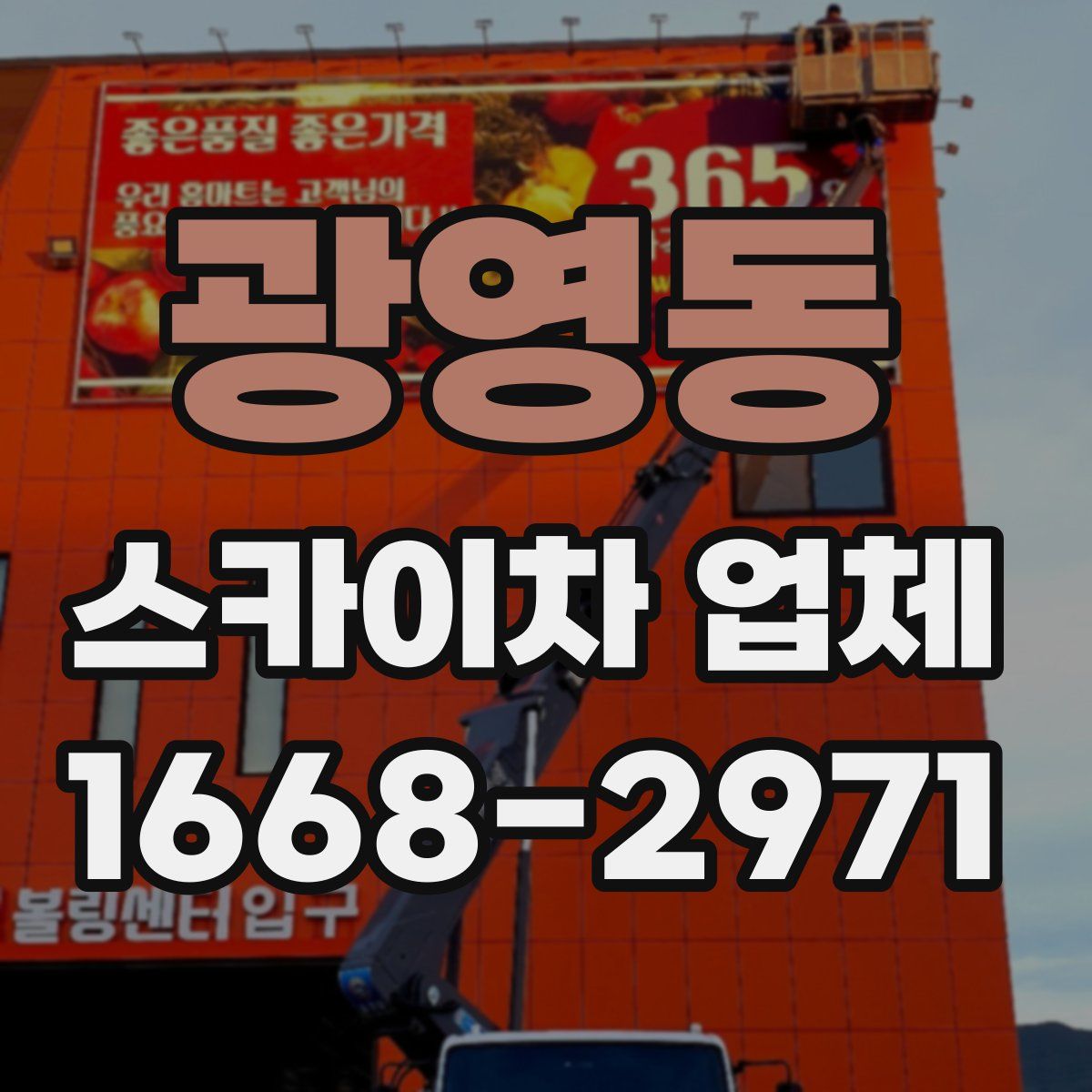 광영동 스카이차 업체