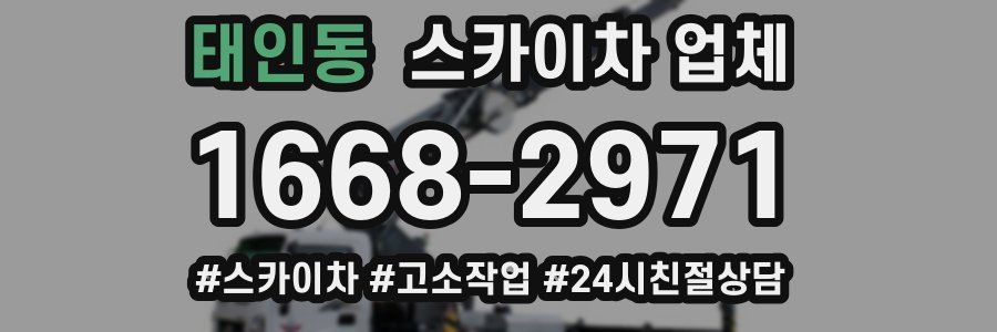 태인동 스카이차 업체
