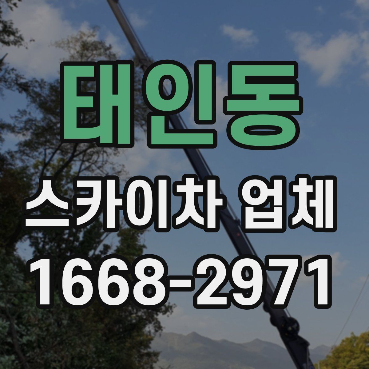 태인동 스카이차 업체
