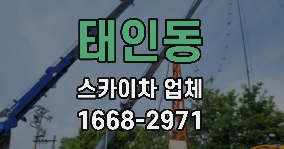 태인동 스카이차 업체