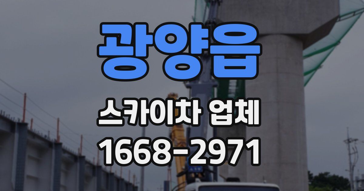 광양읍 스카이차 업체