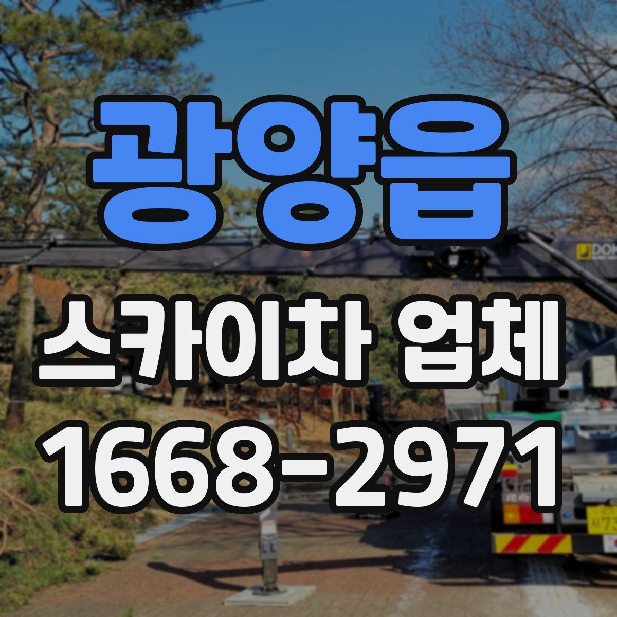 광양읍 스카이차 업체