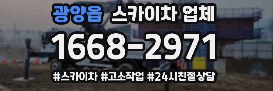 광양읍 스카이차 업체