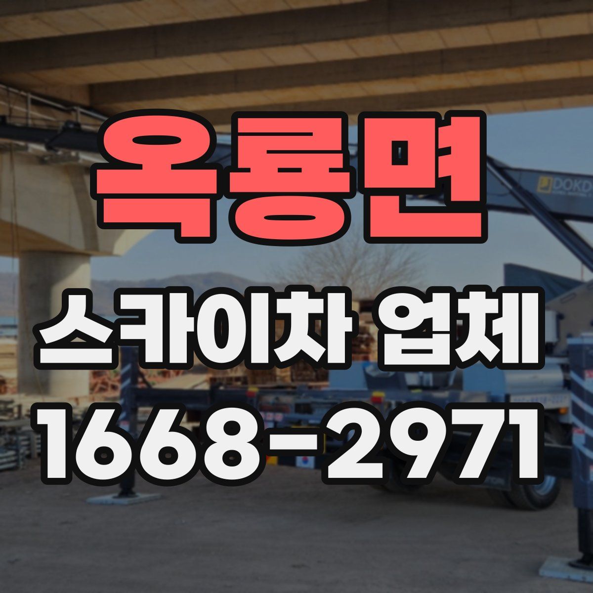 옥룡면 스카이차 업체