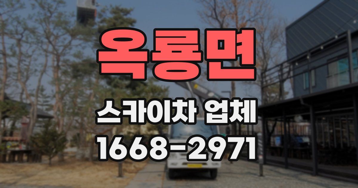 옥룡면 스카이차 업체