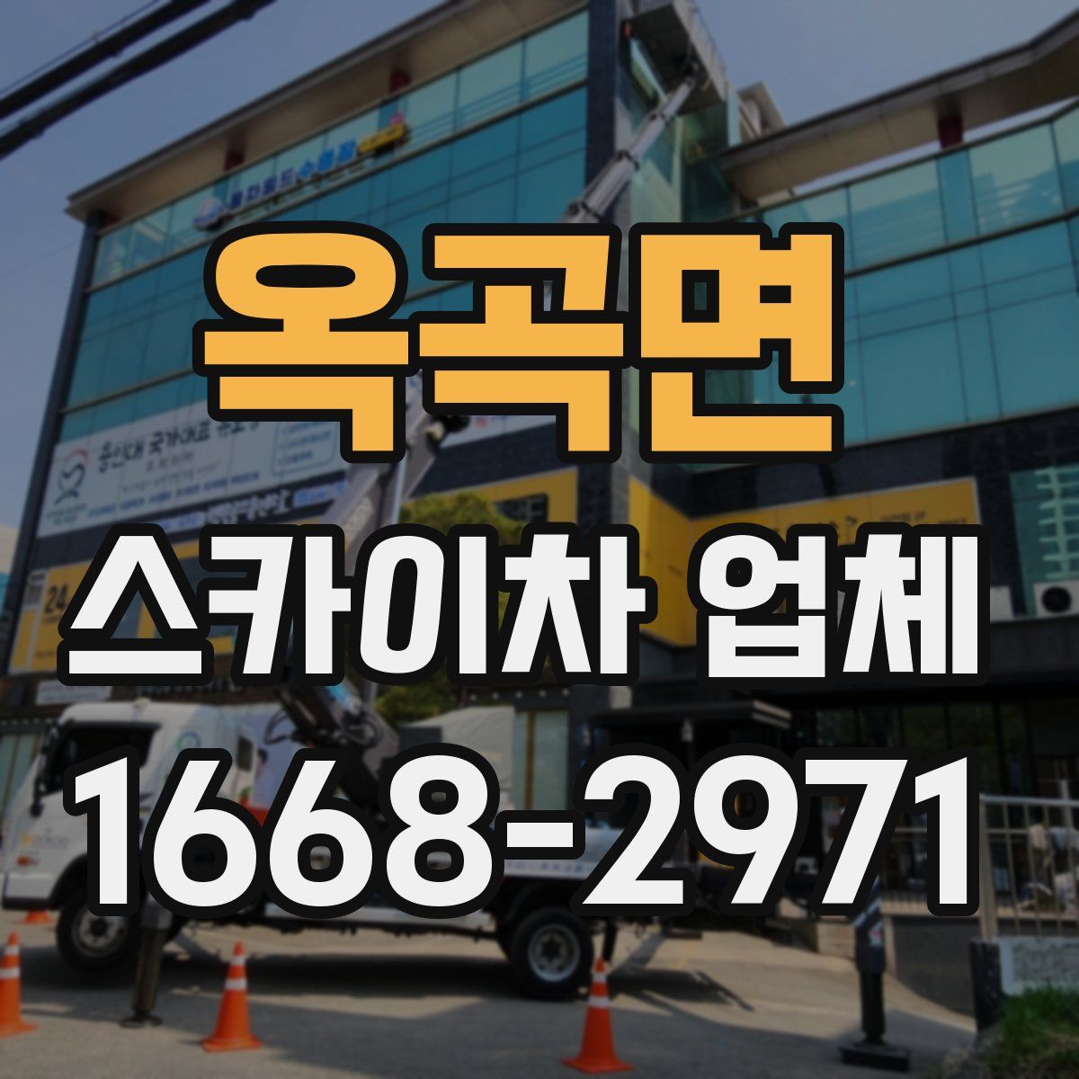 옥곡면 스카이차 업체