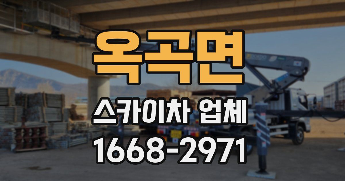 옥곡면 스카이차 업체