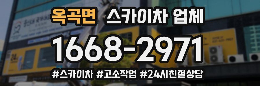 옥곡면 스카이차 업체