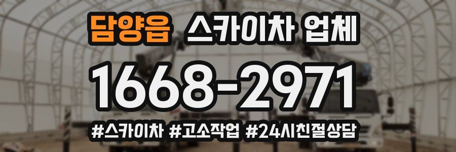 담양읍 스카이차 업체