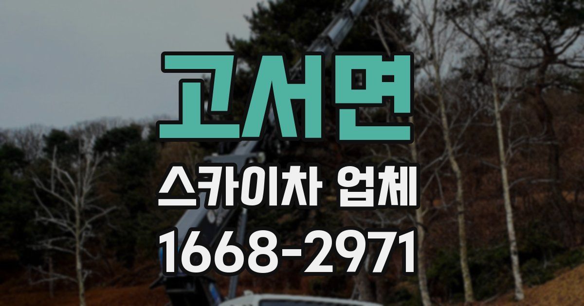고서면 스카이차 업체
