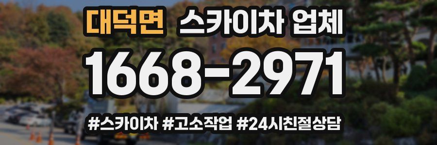 대덕면 스카이차 업체