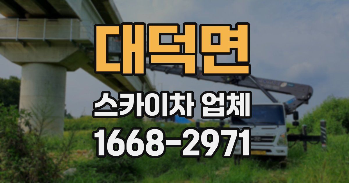 대덕면 스카이차 업체