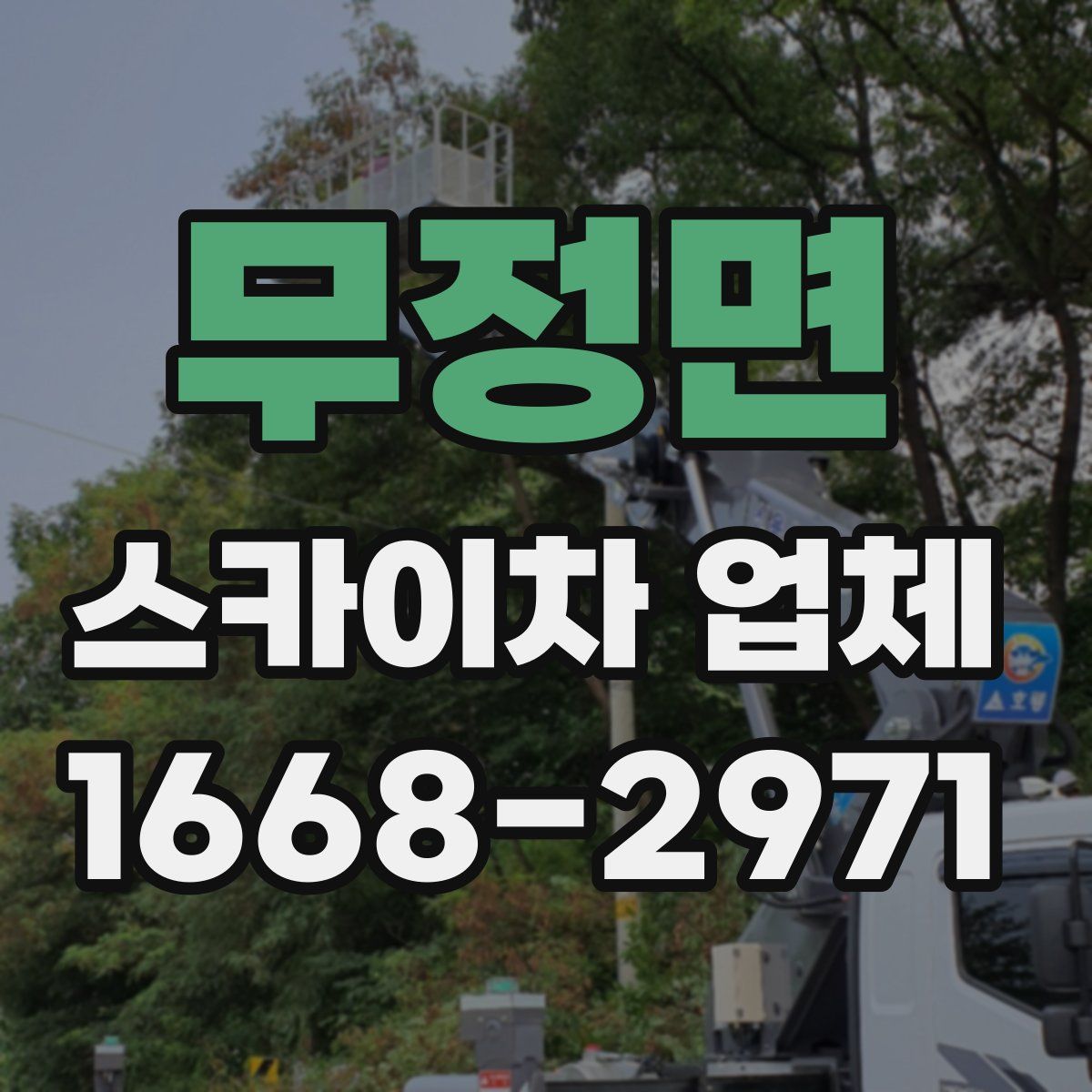 무정면 스카이차 업체