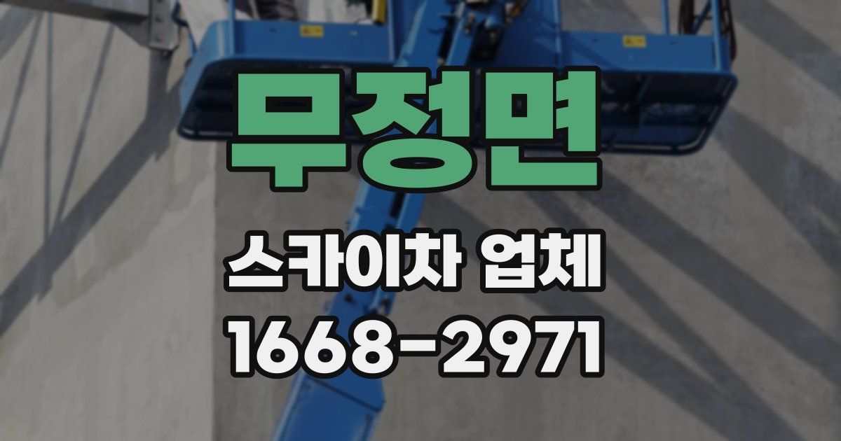 무정면 스카이차 업체