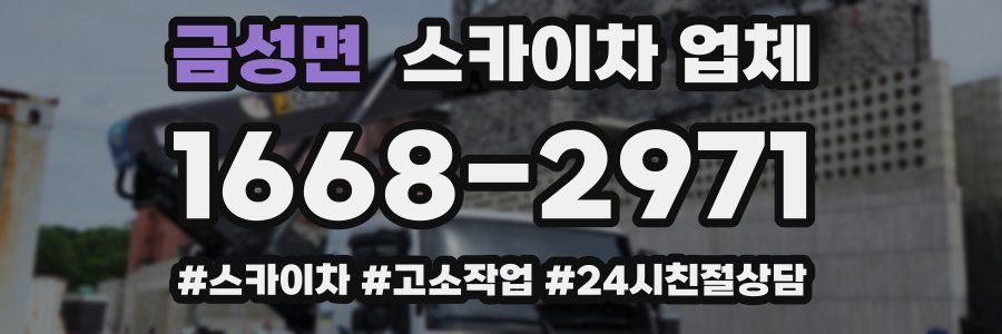 금성면 스카이차 업체