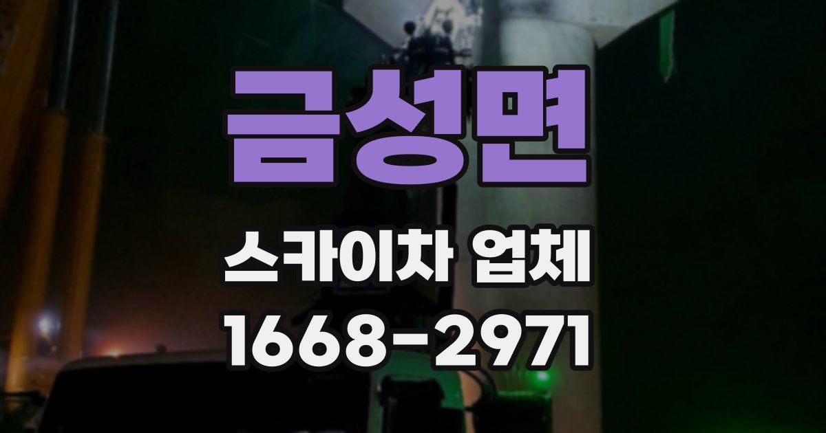 금성면 스카이차 업체