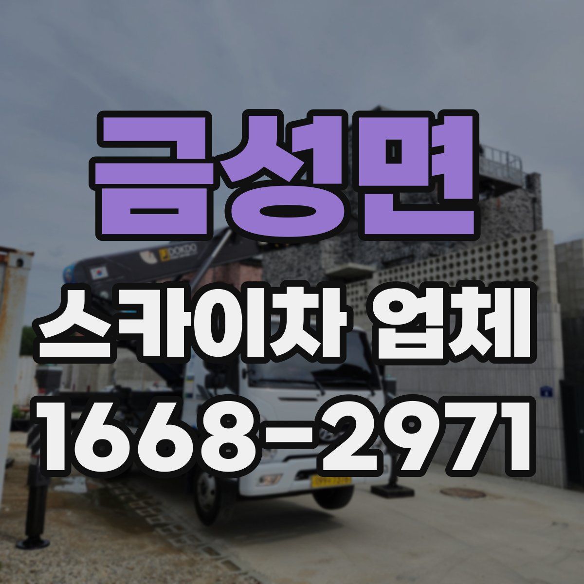 금성면 스카이차 업체