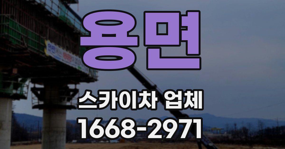 용면 스카이차 업체