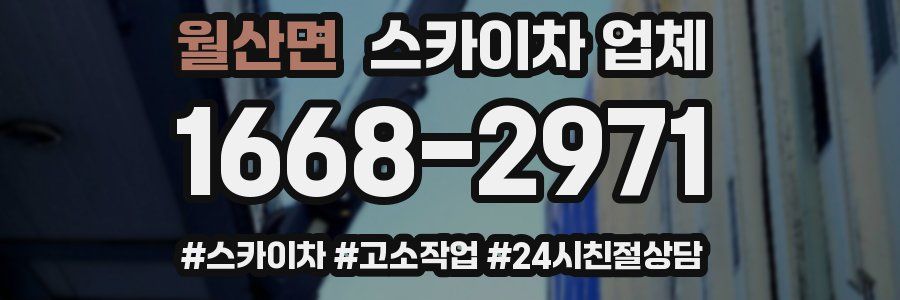월산면 스카이차 업체