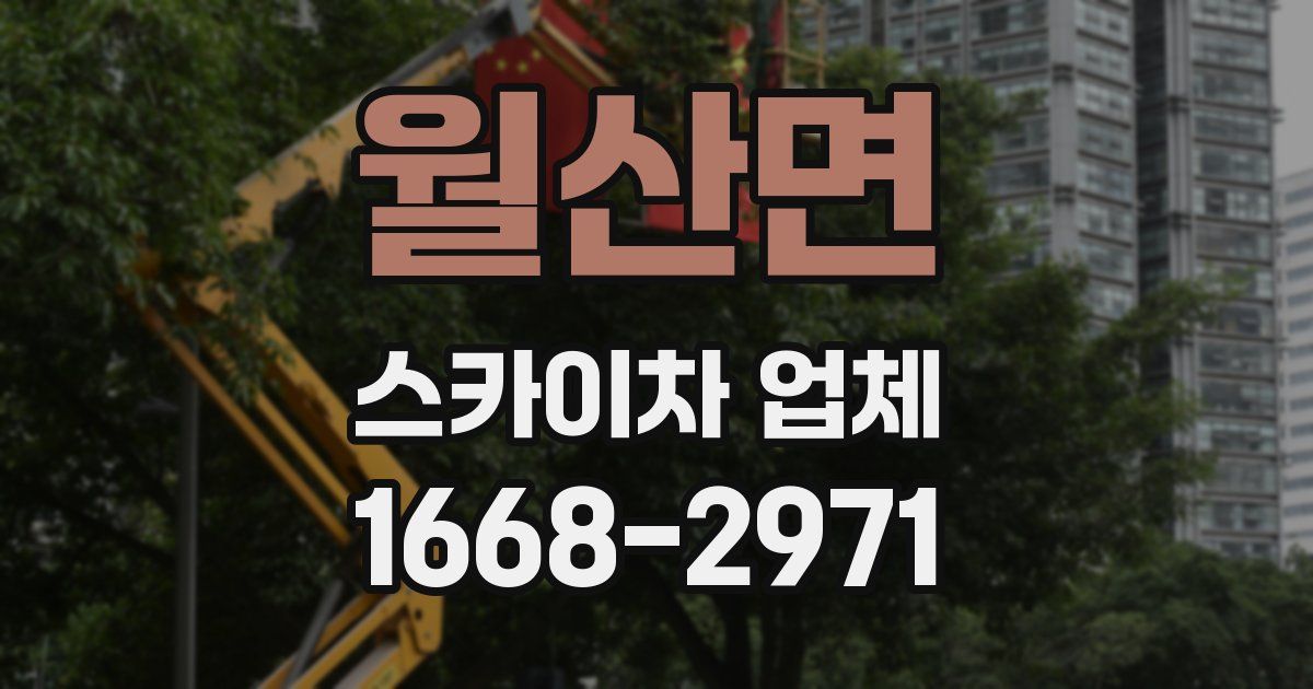 월산면 스카이차 업체