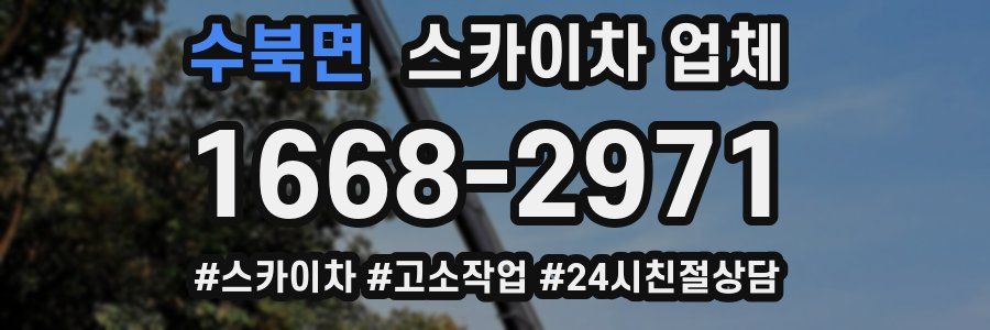 수북면 스카이차 업체