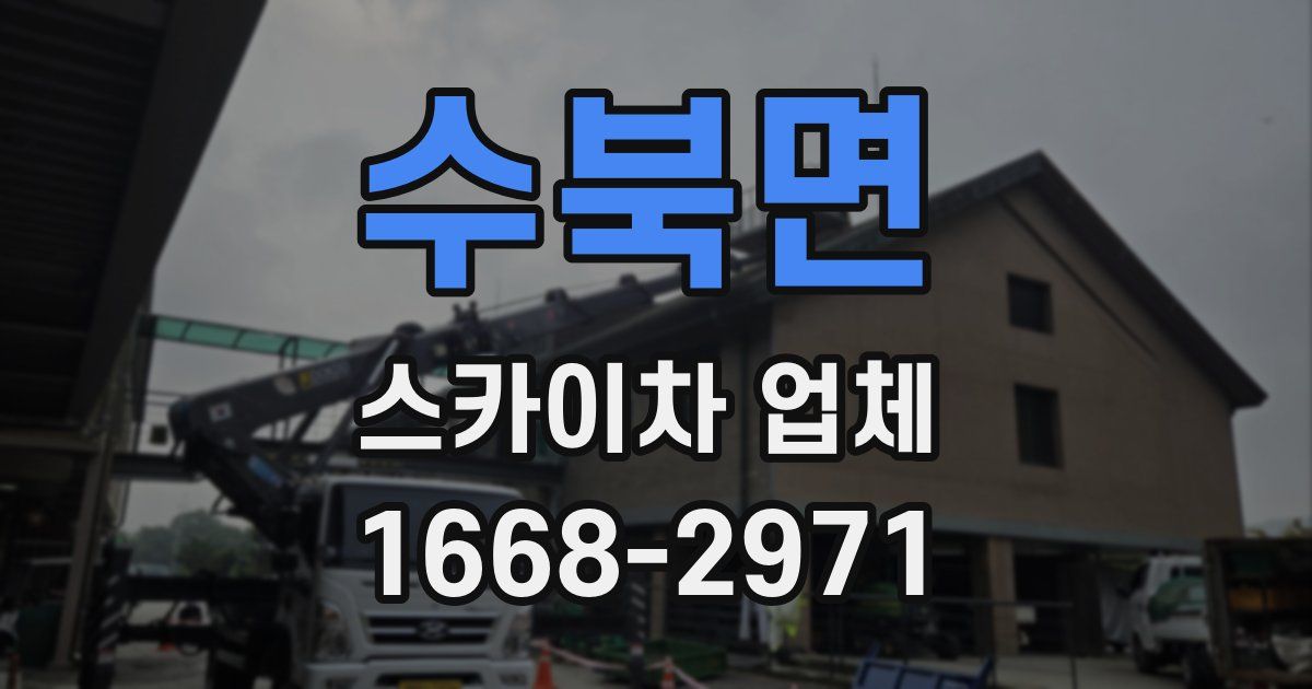 수북면 스카이차 업체