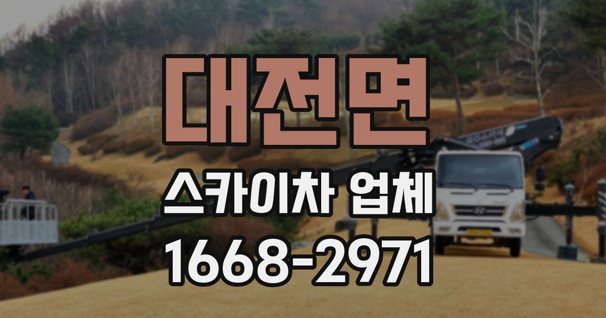 대전면 스카이차 업체