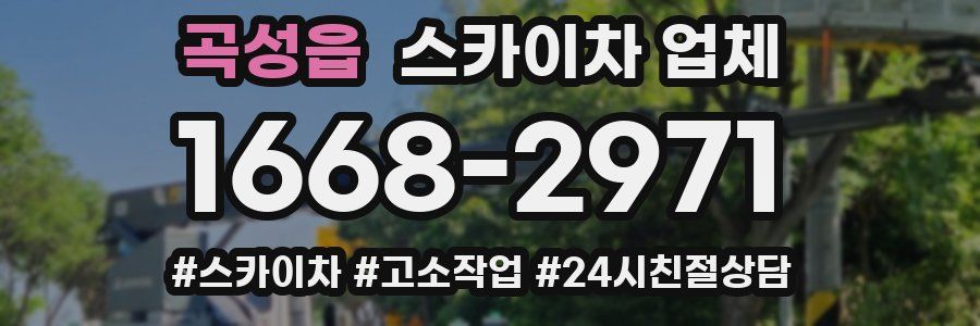 곡성읍 스카이차 업체
