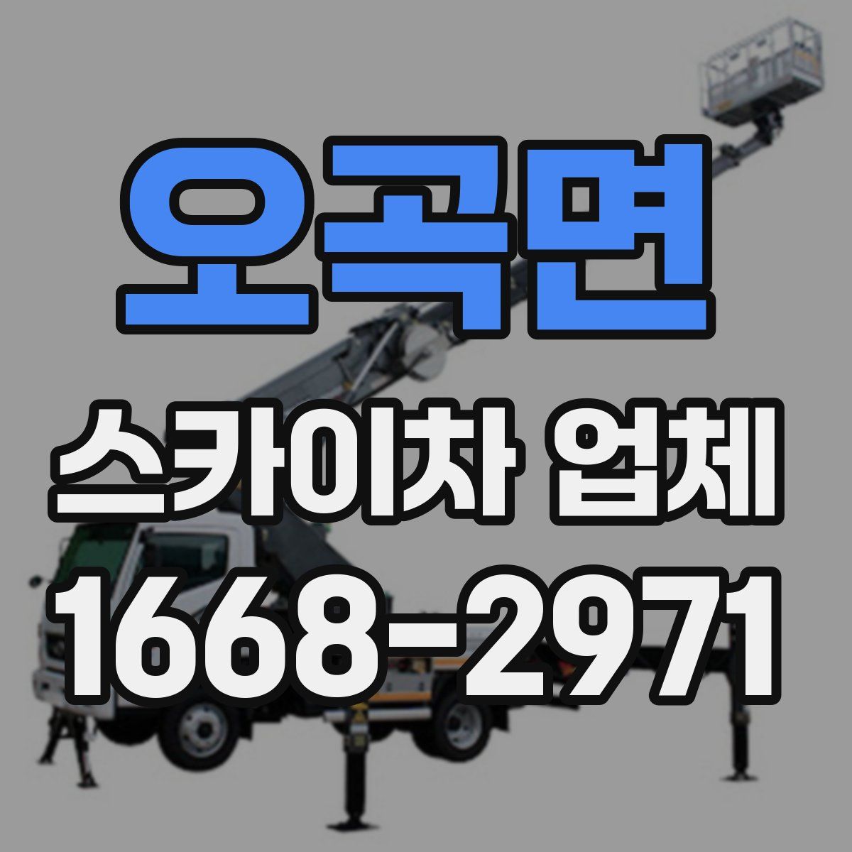 오곡면 스카이차 업체