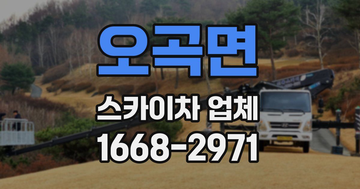 오곡면 스카이차 업체