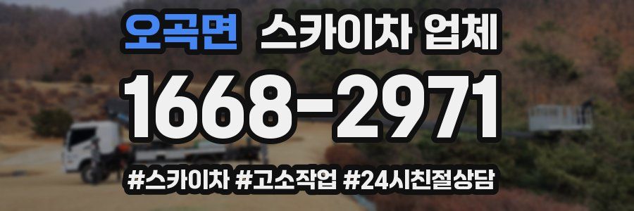 오곡면 스카이차 업체