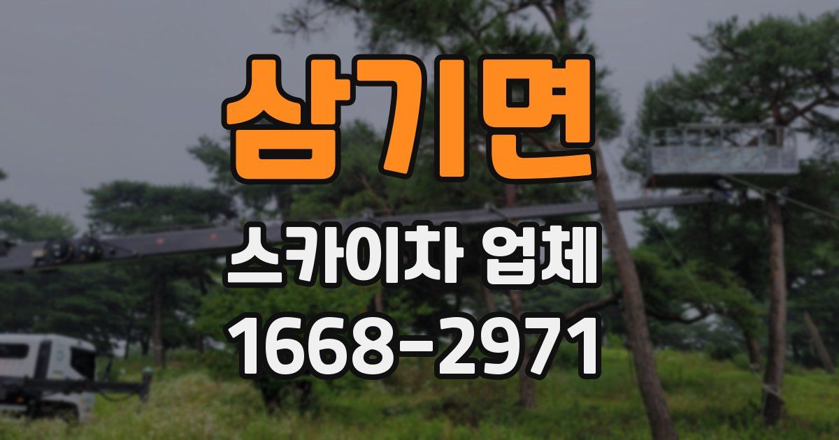 삼기면 스카이차 업체
