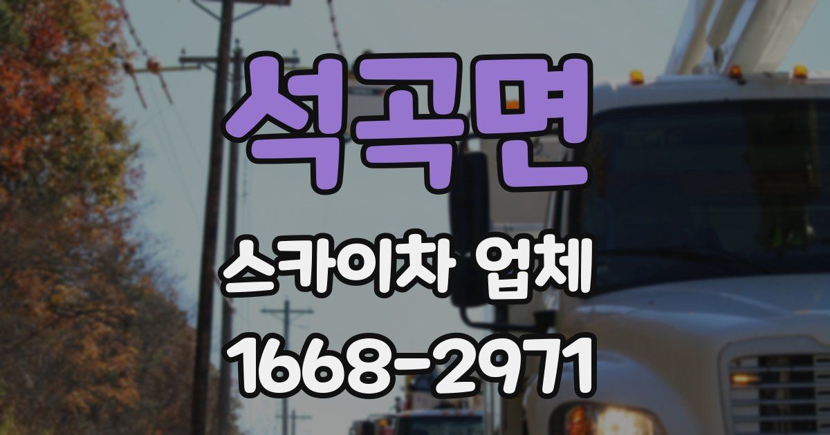 석곡면 스카이차 업체