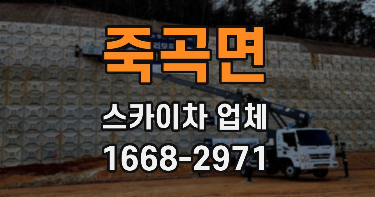 죽곡면 스카이차 업체